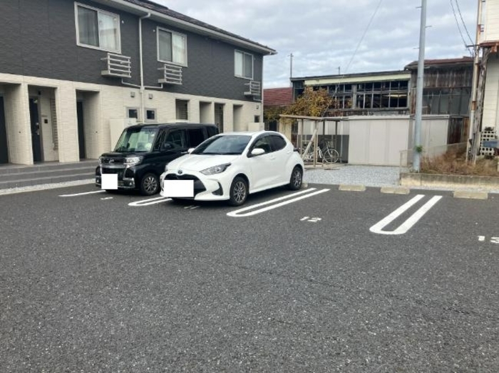 ナツドルーニ