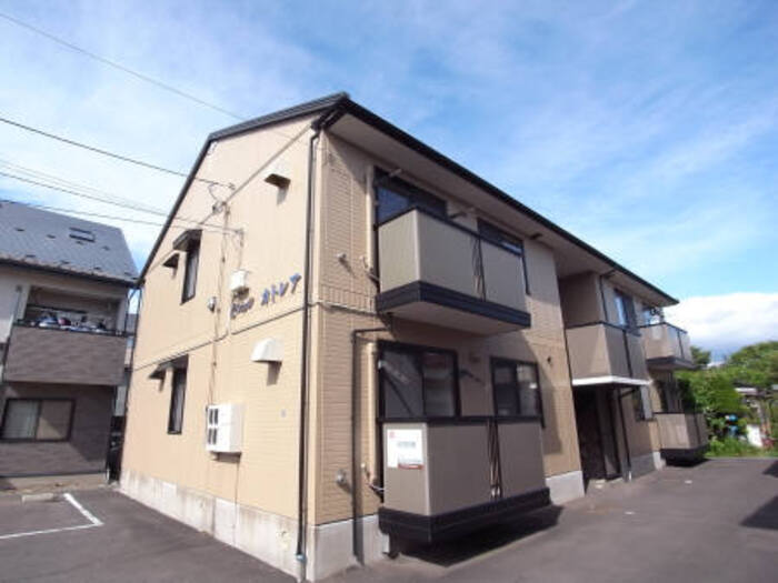 セジュールカトレア