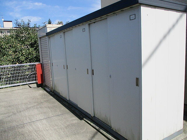 ルーチェプラシード