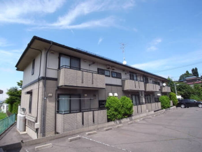 ハイカムール鷹清水