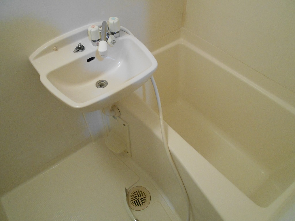 アーク・フォレスト